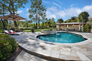 Design ideas for a contemporary custom shaped swimming pool in Orange County with natural stone paving.