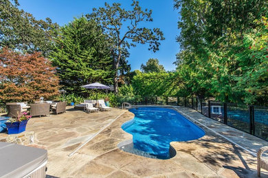 Idee per una piscina naturale american style a "C" di medie dimensioni e dietro casa con pavimentazioni in pietra naturale