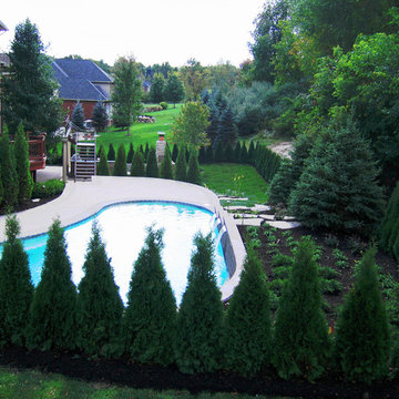 Washington Township Custom Swimming Pool with Elevation