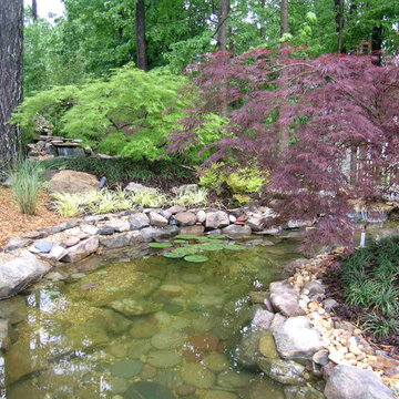 Waterfall and pond with Red and Green Japanese Maples