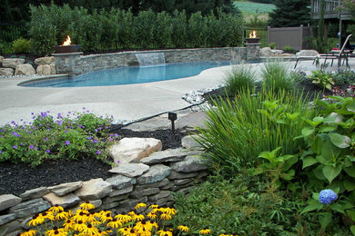 Ejemplo de piscina natural clásica tipo riñón en patio trasero con entablado