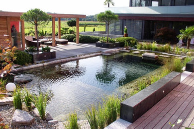 This is an example of a large contemporary back rectangular natural swimming pool in Other with decking and a pool house.