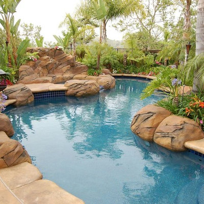 Inspiration for a mid-sized tropical backyard concrete and custom-shaped natural hot tub remodel in Denver
