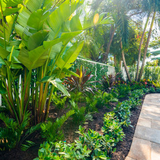 Ispirazione per una grande piscina monocorsia tropicale personalizzata in cortile con paesaggistica bordo piscina e pavimentazioni in cemento
