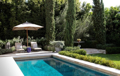 The Perfect Poolside Landscape