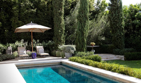 The Perfect Poolside Landscape