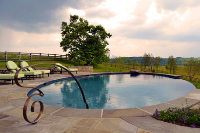 Ejemplo de piscina infinita actual de tamaño medio redondeada en patio trasero con adoquines de piedra natural