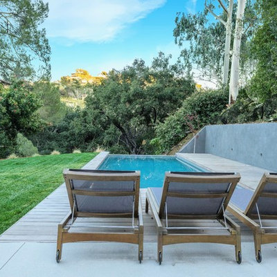 Example of a large trendy backyard concrete and rectangular lap pool design in Los Angeles
