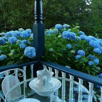 A blue garden