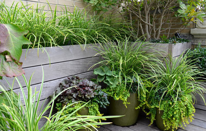 Create High-Impact Container Gardens With Grasses