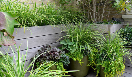 Create High-Impact Container Gardens With Grasses