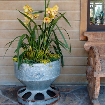 Container - potted gardens