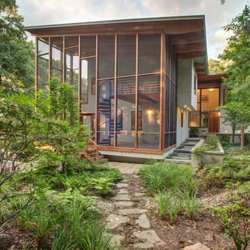 Contemporary Woodland