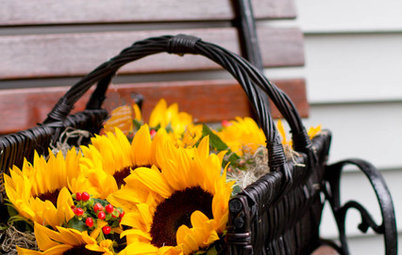 Farbe des Monats September: Strahlendes Sonnenblumengelb
