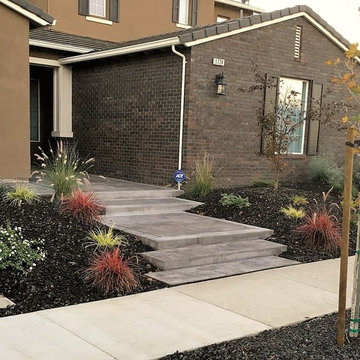 Drought Tolerant Front Yards