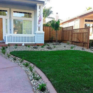 Drought Tolerant Front Yards