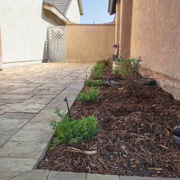 Drought Tolerant Sideyard Landscape