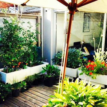 Inner city urban gardening spaces