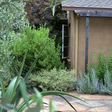 Los Altos Landscape Garden Design - Green Patio