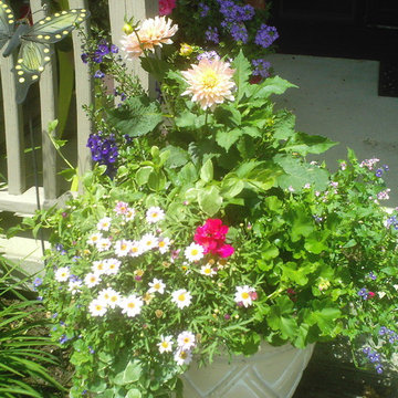 Misc. container garden pots, hummingbird, butterfly gardens