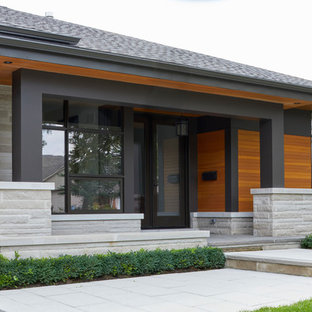 Idee per un patio o portico moderno di medie dimensioni e davanti casa con un giardino in vaso, pavimentazioni in pietra naturale e un tetto a sbalzo