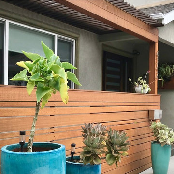 New pergola and fenced porch entry with Kalanchoe container garden entry.