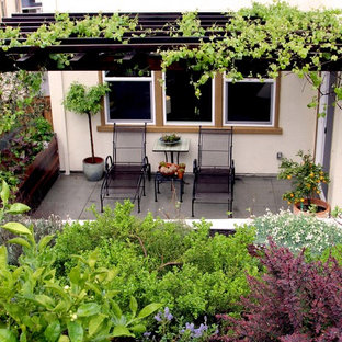 Esempio di un piccolo portico rustico dietro casa con una pergola