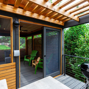 Esempio di un portico minimalista di medie dimensioni e dietro casa con un portico chiuso, pedane e un tetto a sbalzo