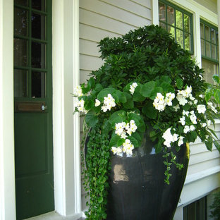 Foto di un piccolo portico american style davanti casa con un giardino in vaso, lastre di cemento e un tetto a sbalzo
