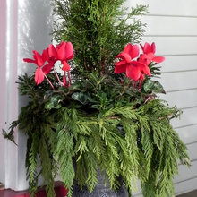 Winter decor