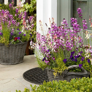 Spring Annuals in Stone Basket Planters