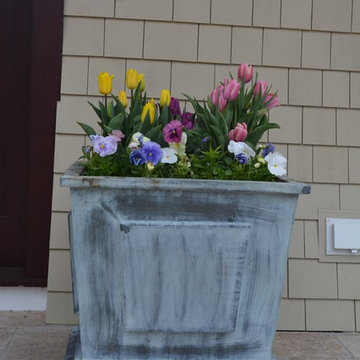 Spring Flowering Bulbs and Container Plantings