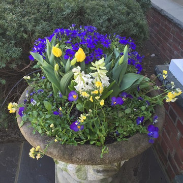 Spring  Pots