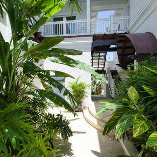 Ispirazione per un portico tropicale davanti casa con una pergola