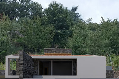 Esempio di un portico minimal di medie dimensioni con un portico chiuso, pavimentazioni in pietra naturale e un tetto a sbalzo