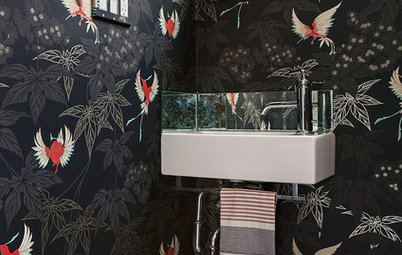 Room of the Day: Drab Toilet Closet Now a Dramatic Powder Room