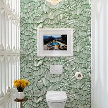 Toilet Accent Wall