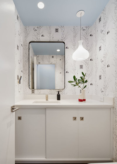 Contemporary Powder Room by Alison Damonte Design