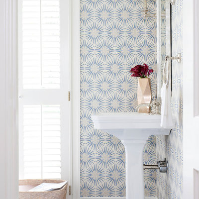Inspiration for a transitional ceramic tile powder room remodel in DC Metro with a pedestal sink and multicolored walls