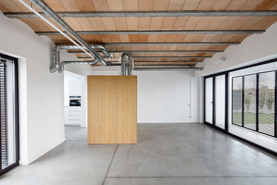 Modelo de sala de estar abierta contemporánea de tamaño medio con paredes blancas y suelo de cemento