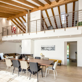 Esempio di una sala da pranzo aperta verso il soggiorno minimalista con pareti bianche, parquet chiaro, camino bifacciale, cornice del camino in intonaco e pavimento beige