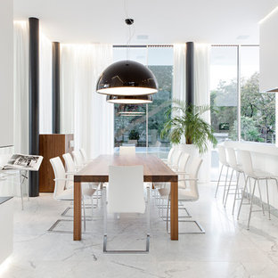 Foto di una grande sala da pranzo minimal con pavimento in marmo, cornice del camino in intonaco e camino bifacciale