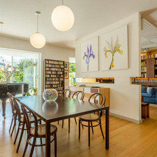 Immagine di una grande sala da pranzo design con pavimento in legno massello medio, pareti bianche e pavimento marrone