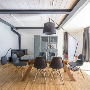 Ispirazione per una sala da pranzo aperta verso il soggiorno design con pareti bianche, parquet chiaro, stufa a legna e pavimento beige