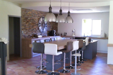 Cette image montre une grande salle à manger ouverte sur la cuisine design.