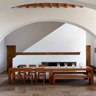 Ispirazione per una sala da pranzo mediterranea con pareti bianche, camino lineare Ribbon e pavimento marrone