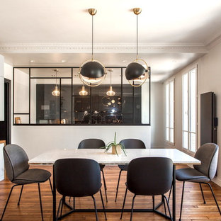 Réalisation d'une grand salle à manger design fermée avec un mur blanc, un sol marron, un sol en bois foncé et une cheminée standard.