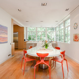 Inspiration pour une grand salle à manger design fermée avec un sol en bois clair et un mur blanc.