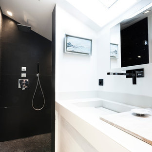 Cette image montre une salle d'eau design.