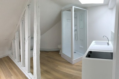 パリにあるお手頃価格の小さなトラディショナルスタイルのおしゃれなバスルーム (浴槽なし) (白い壁、ラミネートの床、ベージュの床、一体型トイレ	、開き戸のシャワー) の写真